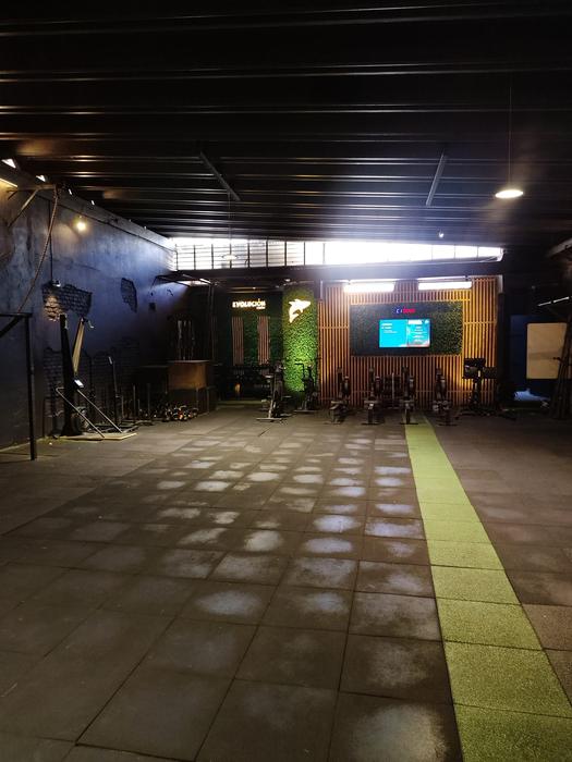 Evolución Gym